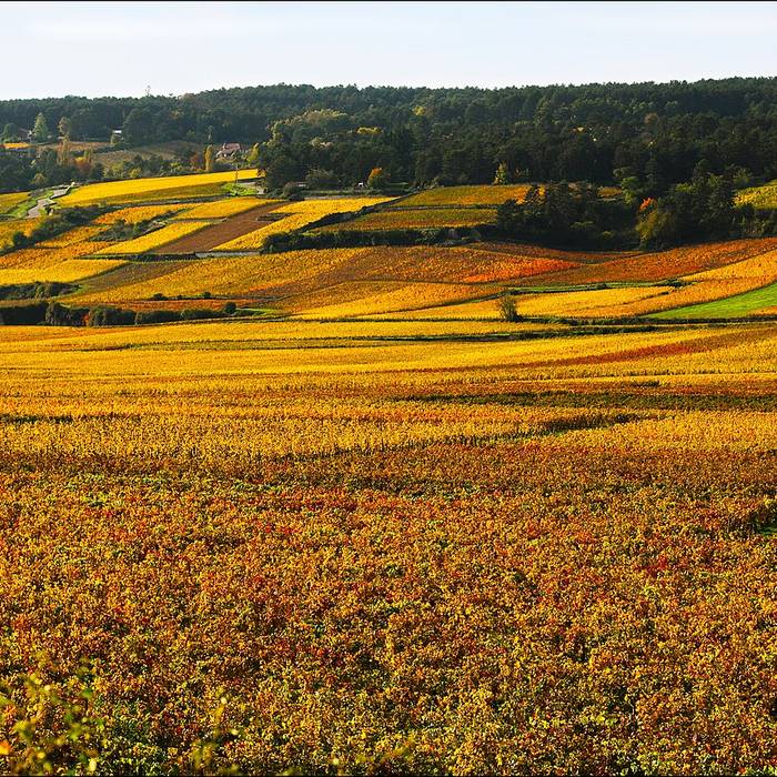 Photo de Château de Semur-en-Auxois